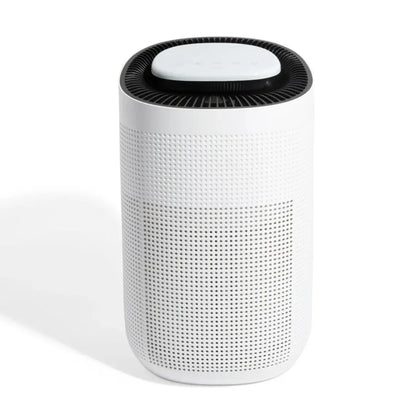 Sans Mini Air Purifier