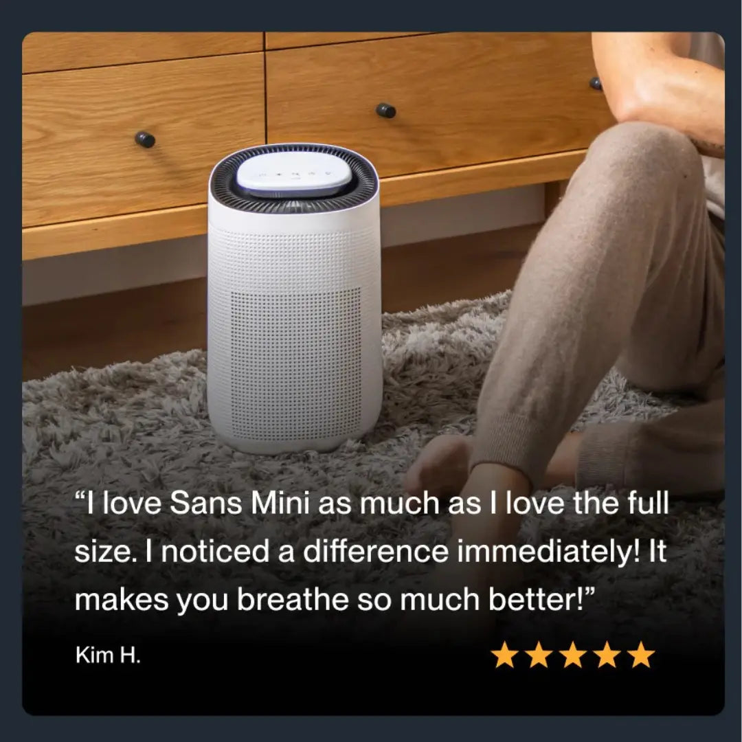 Sans Mini Air Purifier